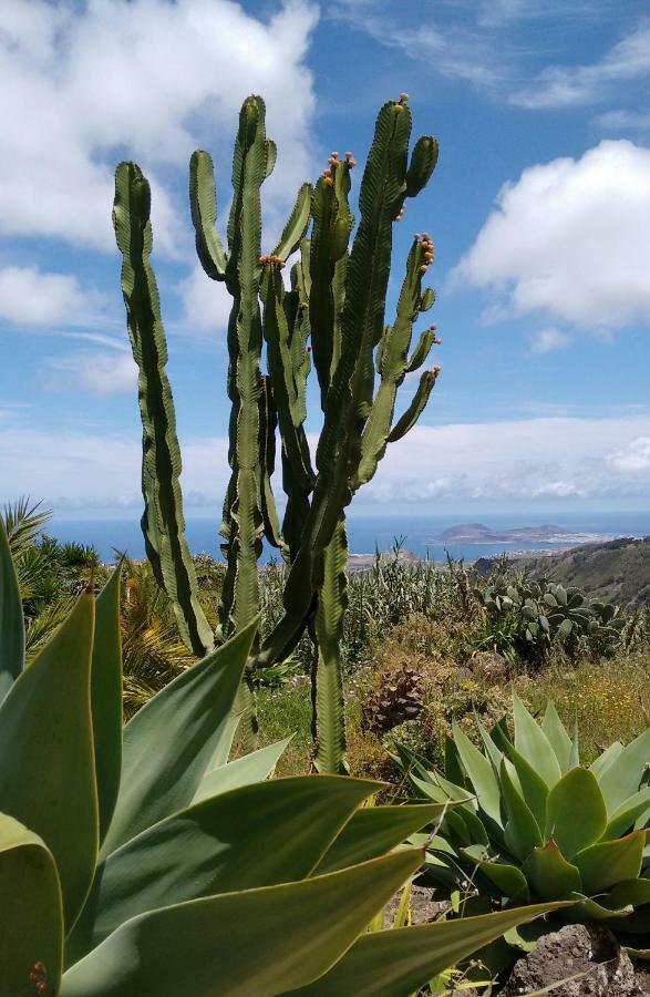 *****Finca Bella Vista Arucas Εξωτερικό φωτογραφία